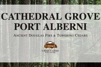 Chims Cabins in Port Alberni, BC — self-contained cabins minutes from Cathedral Grove.