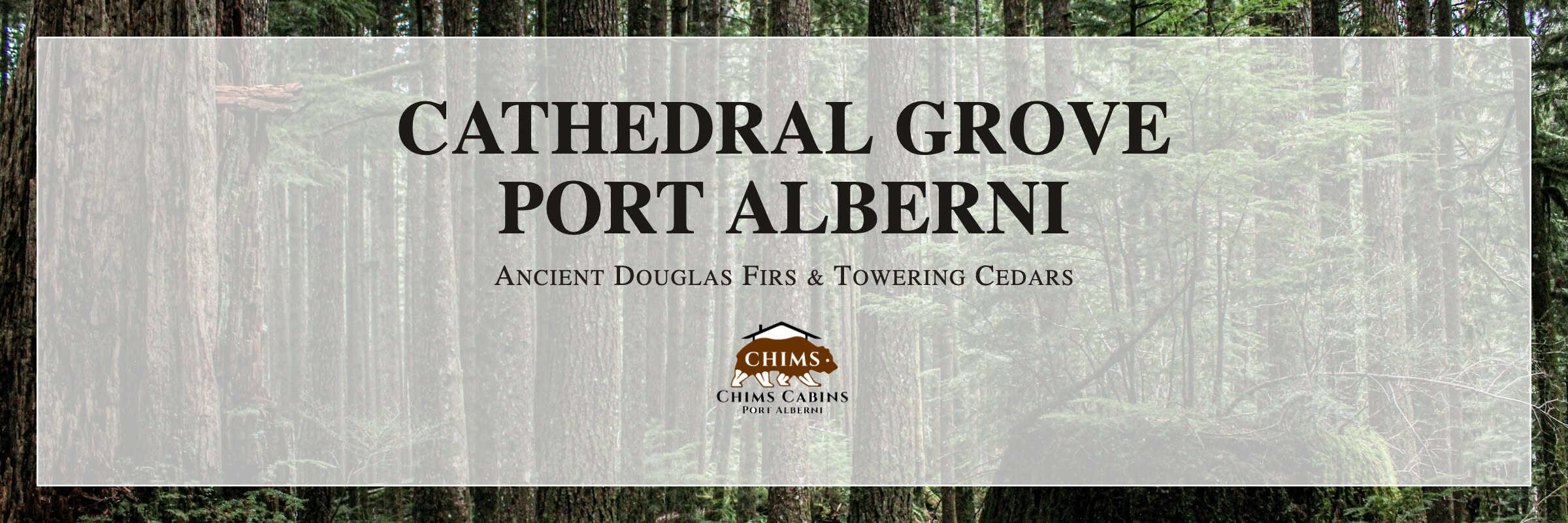 Chims Cabins in Port Alberni, BC — self-contained cabins minutes from Cathedral Grove.